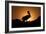 Pelican Silhouette I-Erin Berzel-Framed Photographic Print