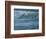 Pelican Skimmers-Bruce Dumas-Framed Giclee Print