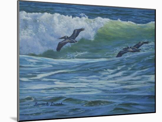 Pelican Skimmers-Bruce Dumas-Mounted Giclee Print