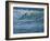 Pelican Skimmers-Bruce Dumas-Framed Giclee Print