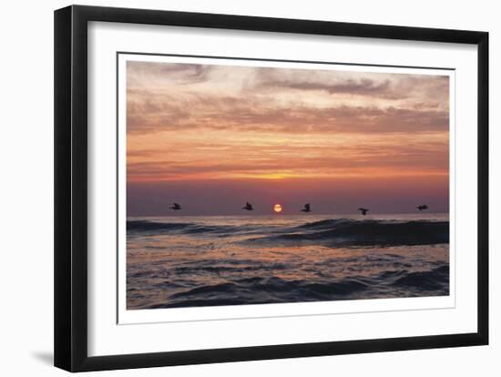 Pelican Sunrise-Matthew Lusk-Framed Giclee Print