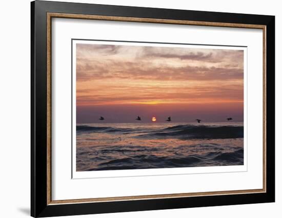 Pelican Sunrise-Matthew Lusk-Framed Giclee Print