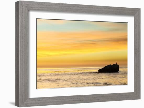 Pelican Sunrise-Chris Moyer-Framed Photographic Print