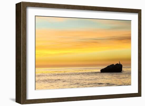 Pelican Sunrise-Chris Moyer-Framed Photographic Print