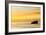 Pelican Sunrise-Chris Moyer-Framed Photographic Print