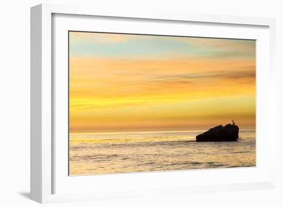 Pelican Sunrise-Chris Moyer-Framed Photographic Print