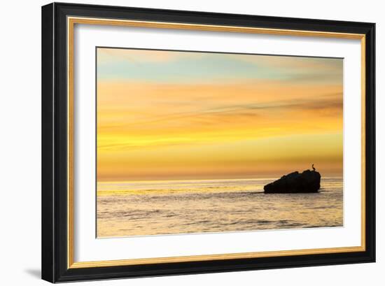 Pelican Sunrise-Chris Moyer-Framed Photographic Print