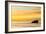 Pelican Sunrise-Chris Moyer-Framed Photographic Print