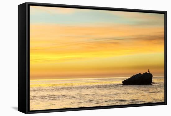 Pelican Sunrise-Chris Moyer-Framed Stretched Canvas