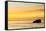 Pelican Sunrise-Chris Moyer-Framed Stretched Canvas