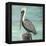 Pelican Way I-Julie DeRice-Framed Stretched Canvas