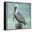 Pelican Way I-Julie DeRice-Framed Stretched Canvas