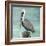 Pelican Way I-Julie DeRice-Framed Art Print