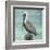 Pelican Way I-Julie DeRice-Framed Art Print