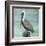 Pelican Way I-Julie DeRice-Framed Art Print