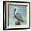 Pelican Way I-Julie DeRice-Framed Art Print