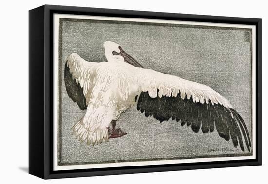 Pelican with Outspread Wings-Walther Klemm-Framed Premier Image Canvas