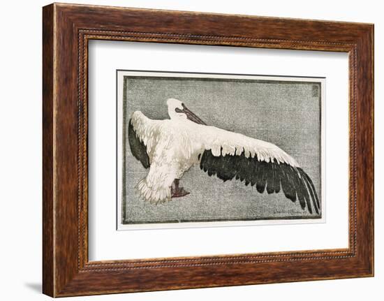 Pelican with Outspread Wings-Walther Klemm-Framed Photographic Print