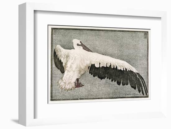 Pelican with Outspread Wings-Walther Klemm-Framed Photographic Print