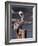 Pelican-Steven Maxx-Framed Premium Photographic Print