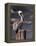 Pelican-Steven Maxx-Framed Premier Image Canvas