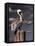 Pelican-Steven Maxx-Framed Premier Image Canvas