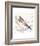 Pelicans About-Sillier than Sally-Framed Art Print