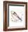 Pelicans About-Sillier than Sally-Framed Art Print