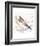 Pelicans About-Sillier than Sally-Framed Art Print