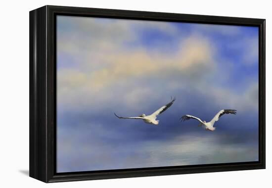 Pelicans at Sea-Jai Johnson-Framed Premier Image Canvas