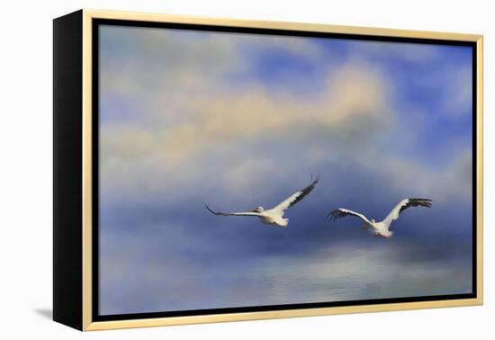 Pelicans at Sea-Jai Johnson-Framed Premier Image Canvas