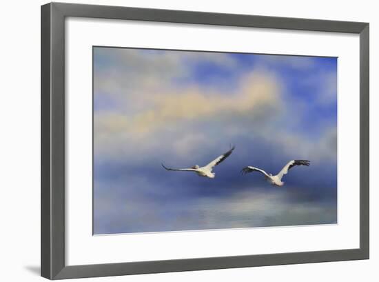 Pelicans at Sea-Jai Johnson-Framed Giclee Print