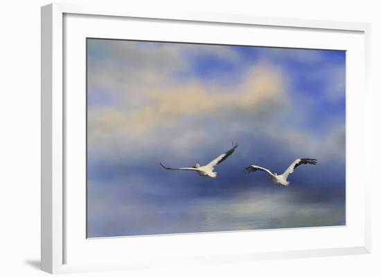 Pelicans at Sea-Jai Johnson-Framed Giclee Print