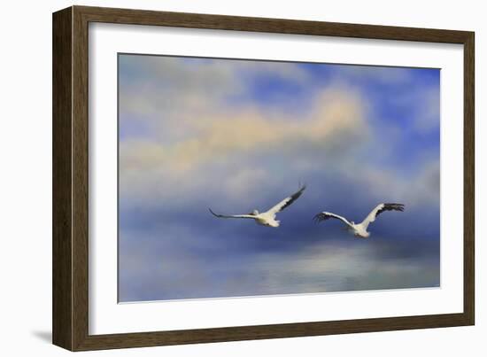 Pelicans at Sea-Jai Johnson-Framed Giclee Print