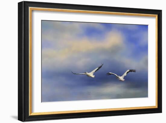 Pelicans at Sea-Jai Johnson-Framed Giclee Print