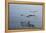 Pelicans Flying Above the Ocean Near Walvis Bay, Namibia-Alex Saberi-Framed Premier Image Canvas