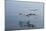 Pelicans Flying Above the Ocean Near Walvis Bay, Namibia-Alex Saberi-Mounted Photographic Print