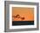 Pelicans Flying at Dusk, Mazatlan, Mexico-Charles Sleicher-Framed Photographic Print