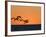 Pelicans Flying at Dusk, Mazatlan, Mexico-Charles Sleicher-Framed Photographic Print