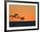 Pelicans Flying at Dusk, Mazatlan, Mexico-Charles Sleicher-Framed Photographic Print