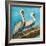 Pelicans on Post II-Julie DeRice-Framed Art Print