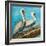 Pelicans on Post II-Julie DeRice-Framed Premium Giclee Print