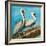 Pelicans on Post II-Julie DeRice-Framed Premium Giclee Print