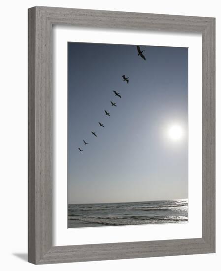 Pelicans Pass over Boca Chica, Texas-Eric Gay-Framed Photographic Print