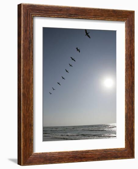 Pelicans Pass over Boca Chica, Texas-Eric Gay-Framed Photographic Print