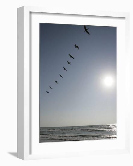 Pelicans Pass over Boca Chica, Texas-Eric Gay-Framed Photographic Print