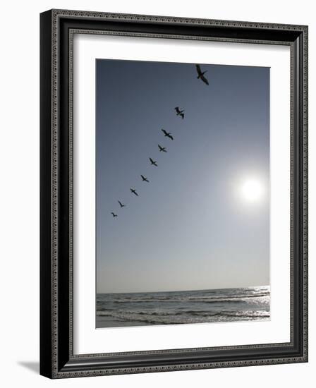 Pelicans Pass over Boca Chica, Texas-Eric Gay-Framed Photographic Print