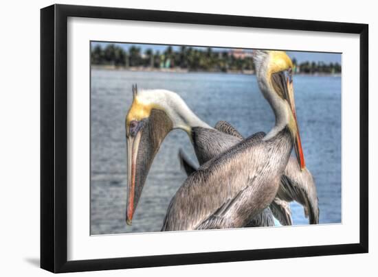 Pelicans Two-Robert Goldwitz-Framed Photographic Print