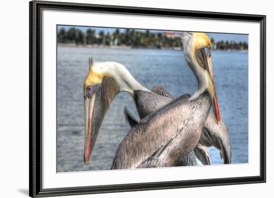 Pelicans Two-Robert Goldwitz-Framed Photographic Print