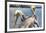 Pelicans Two-Robert Goldwitz-Framed Photographic Print